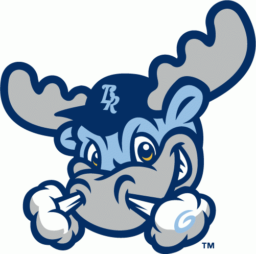 Wilmington Blue Rocks 2010-Pres Alternate Logo 4 vinyl decal